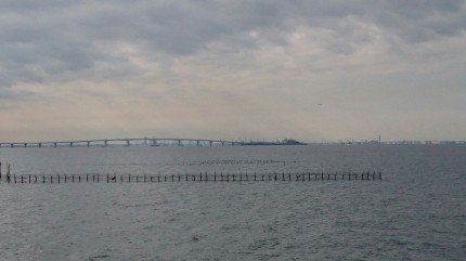 海浜公園からの景色