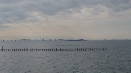 海浜公園からの景色