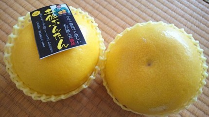 高知ぶんたん 高知ぶんたん