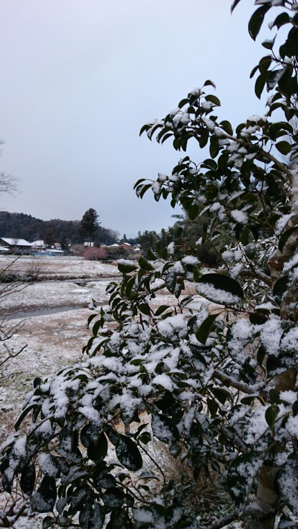 2016.2.25雪景色 2016.2.25雪景色
