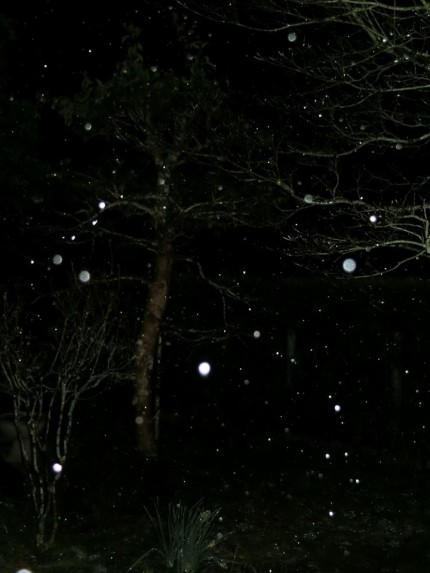 2月15日雪模様 2月15日雪模様