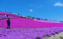 東京ドイツ村