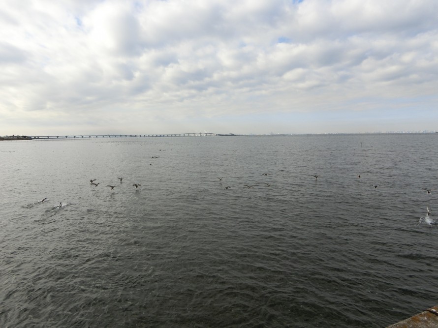 海浜公園からの景色