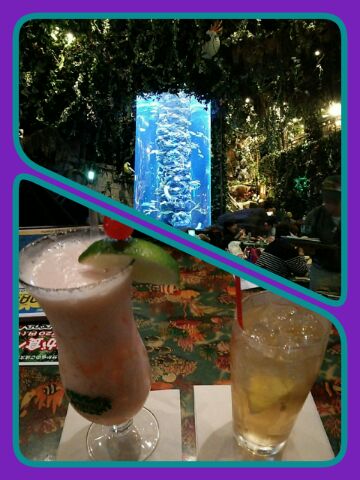 レインフォレストカフェ レインフォレストカフェ