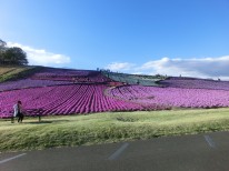 東京ドイツ村