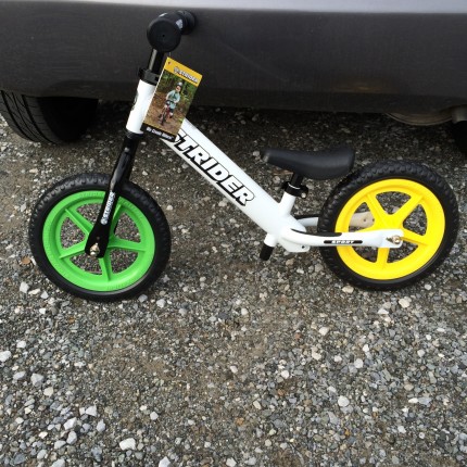 STRIDER STRIDER